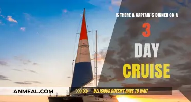 Captain's Dinner on 3-Day Cruises: What to Expect Aboard