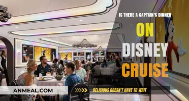 Disney Cruise Captain's Dinner: What to Expect on Your Voyage
