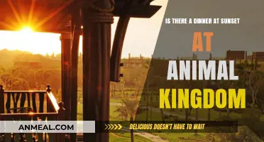 Sunset Dining at Animal Kingdom: Exploring Magical Evening Experiences