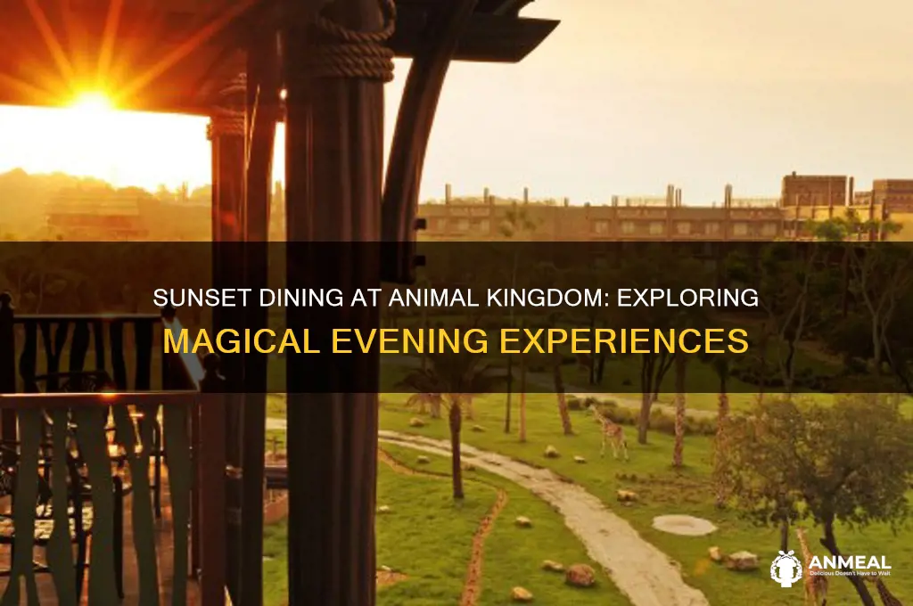 is there a dinner at sunset at animal kingdom