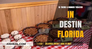 Discovering Destin's Dinner Theater Scene: A Guide to Evening Entertainment