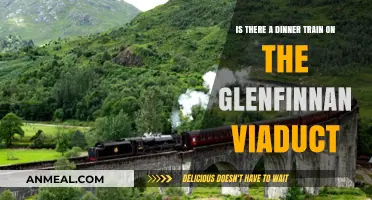 Dinner Train on Glenfinnan Viaduct: Fact or Fiction?
