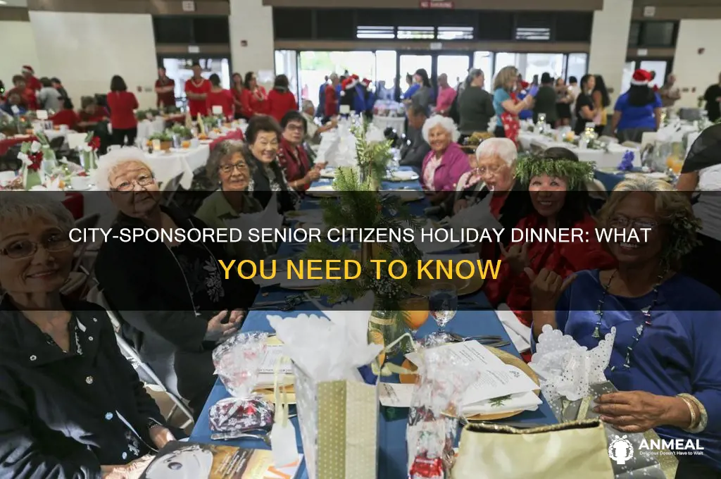 is there a senior citizens holiday dinner from the city