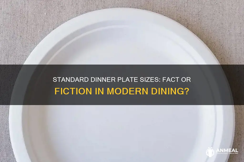 is there a standard size for dinner plates