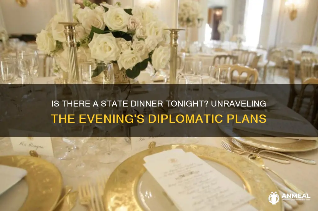 is there a state dinner tonight