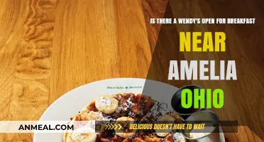 Wendy's Breakfast Near Amelia, Ohio: Where to Find It