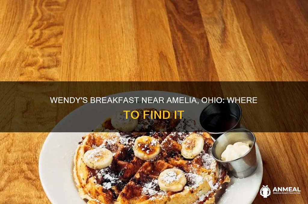 is there a wendy
