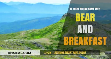 Bear and Breakfast: Exploring the Game's Ultimate Endgame Potential