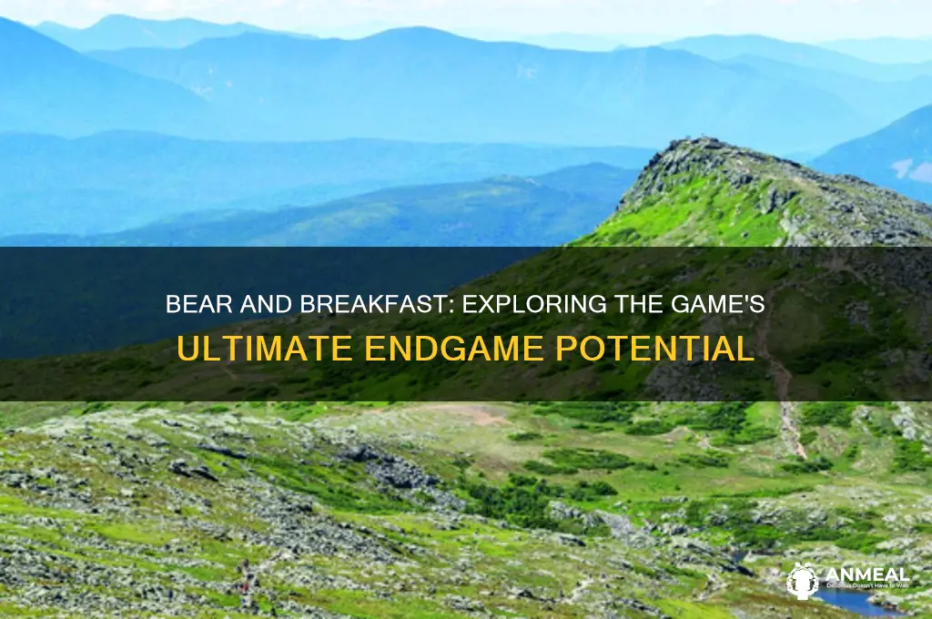 is there an end game with bear and breakfast