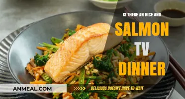 Rice and Salmon TV Dinner: A Convenient Meal Option?