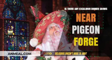 Discover Excalibur Dinner Shows Near Pigeon Forge: A Medieval Adventure
