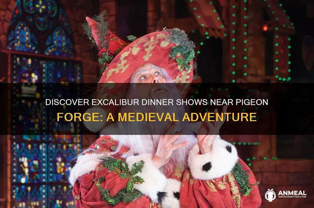 is there any excalibur dinner shows near pigeon forge
