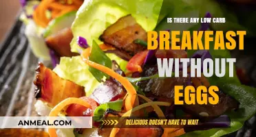 Delicious Low-Carb Breakfast Ideas Without Eggs to Start Your Day