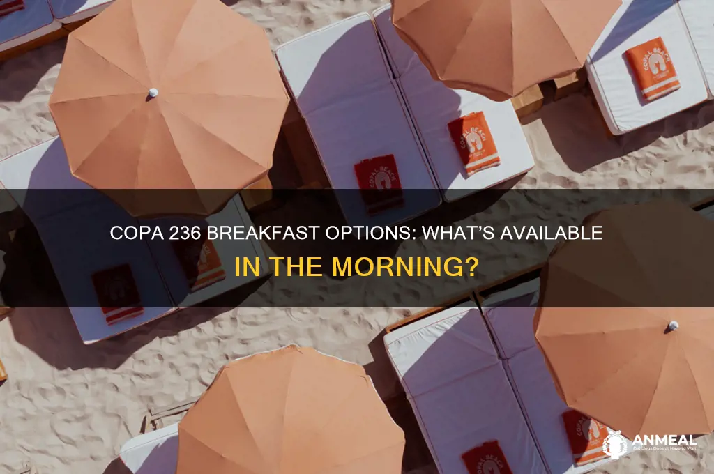 is there breakfast copa 236