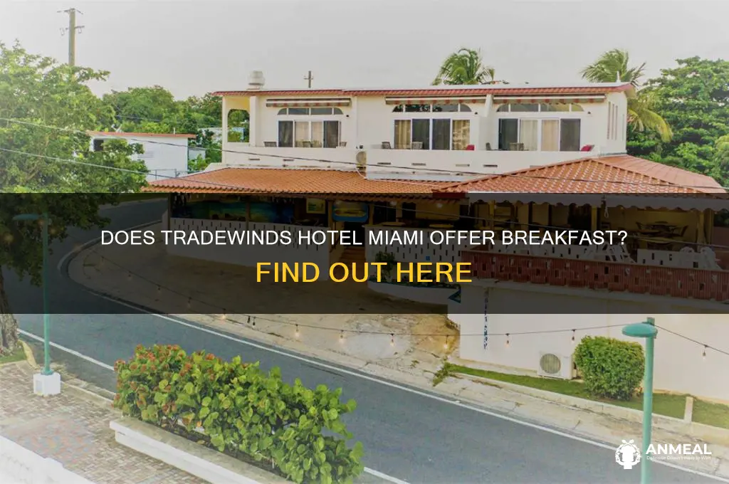 is there breakfast in tradewinds hotel in miami
