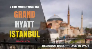 Top Breakfast Spots Near Grand Hyatt Istanbul: A Foodie's Guide