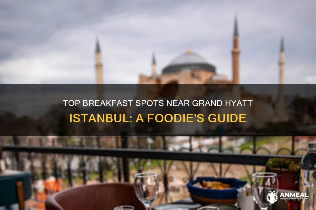 is there breakfast places near grand hyatt istanbul