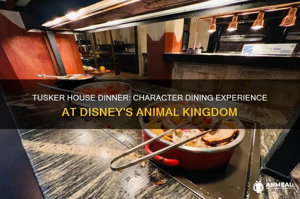 is there character dining at tusker house dinner