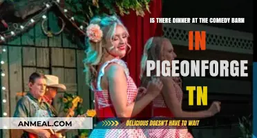 Comedy Barn Pigeon Forge: Dinner Included or Just Laughs?