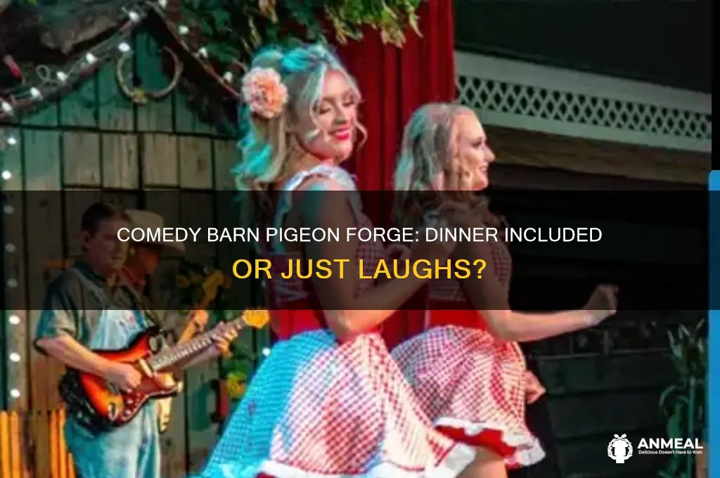 is there dinner at the comedy barn in pigeonforge tn
