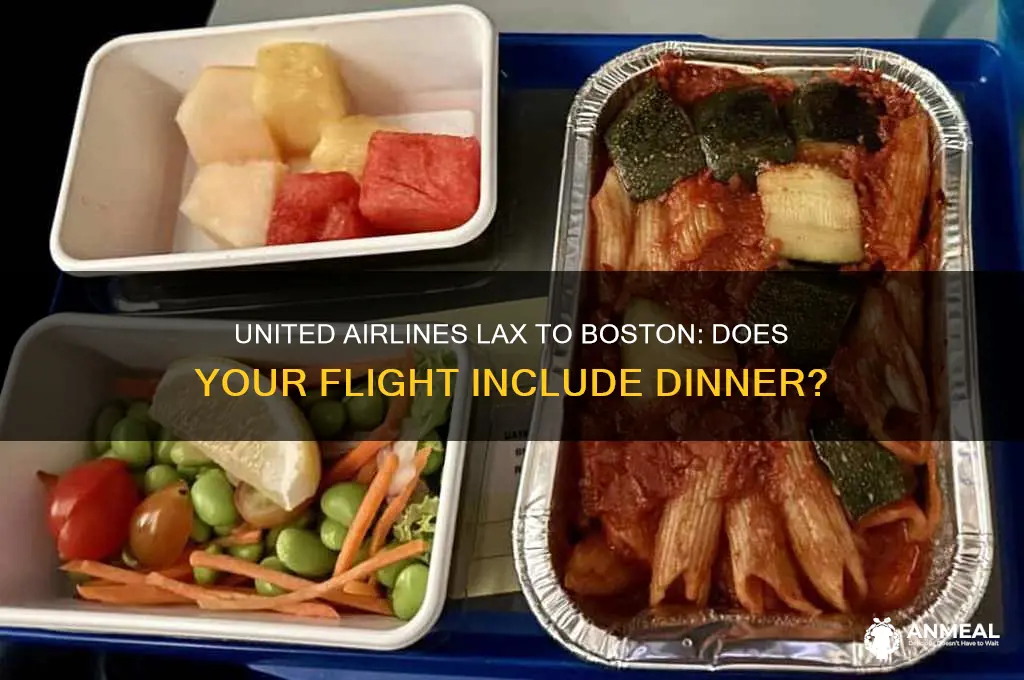 is there dinner on my flight united lax to boston