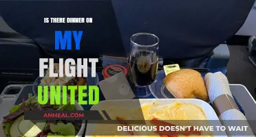 United Airlines In-Flight Dining: What to Expect for Your Meal
