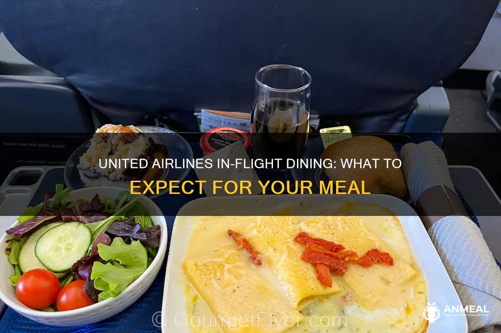 is there dinner on my flight united