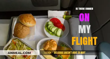 In-Flight Dining: What to Expect for Dinner on Your Flight