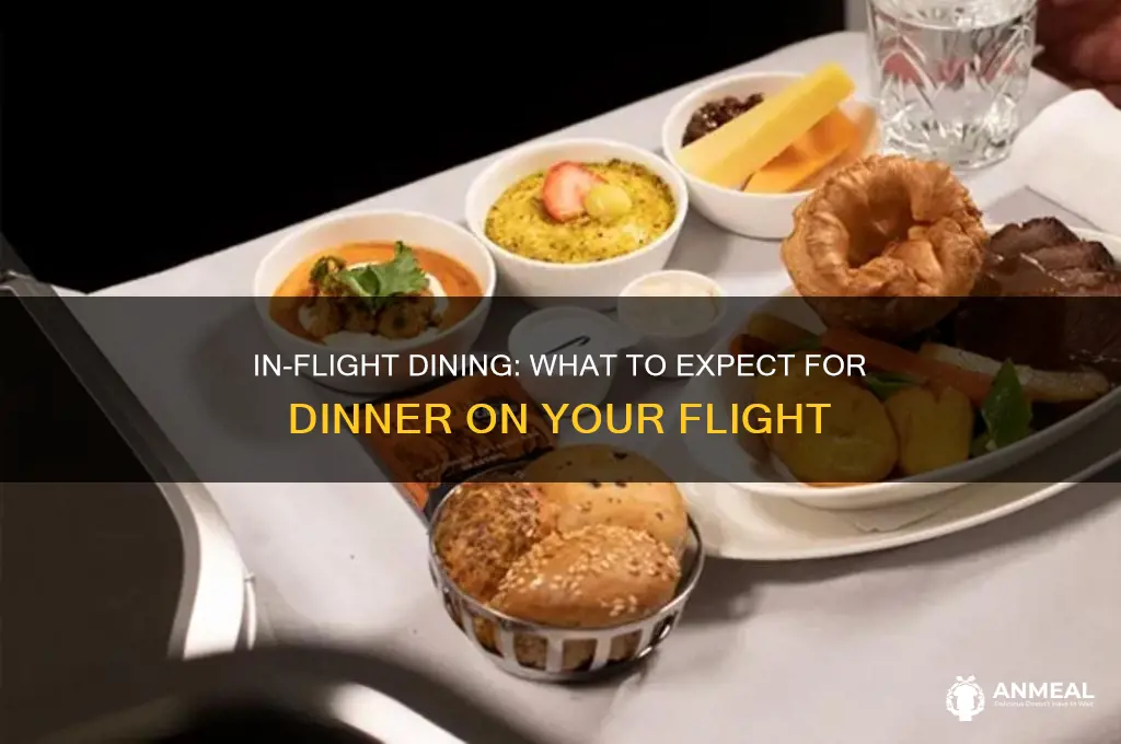 is there dinner on my flight