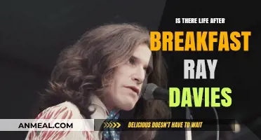 Life After Breakfast: Ray Davies' Enduring Legacy and Musical Journey