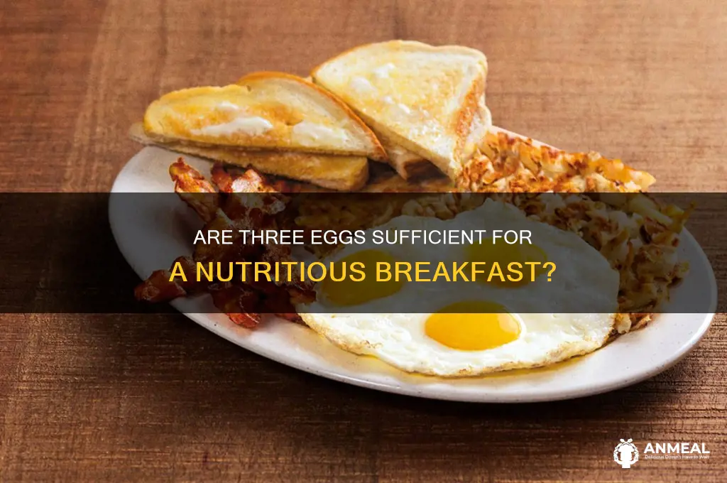 is three eggs enough for breakfast