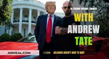 Trump and Andrew Tate: Dinner Meeting Fact or Fiction?