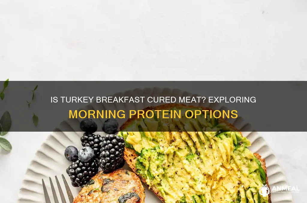 is turkey breakfast cured meat