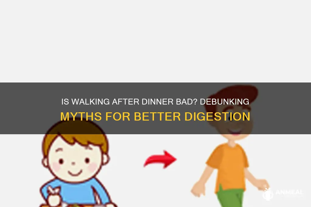 is walking after dinner bad