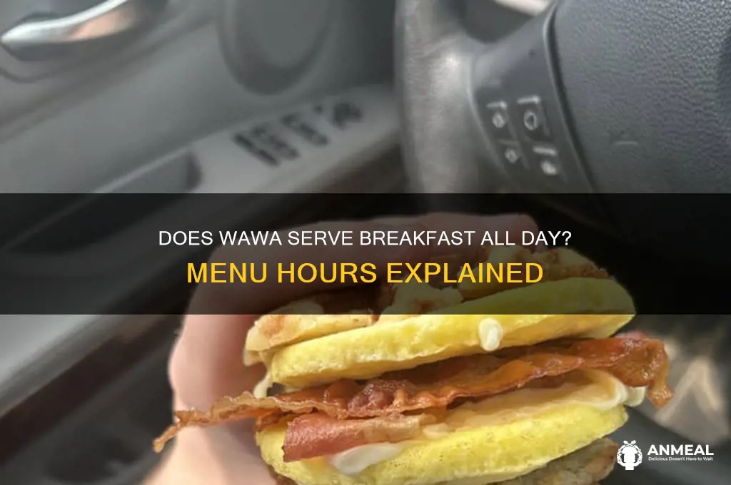is wawa breakfast all day