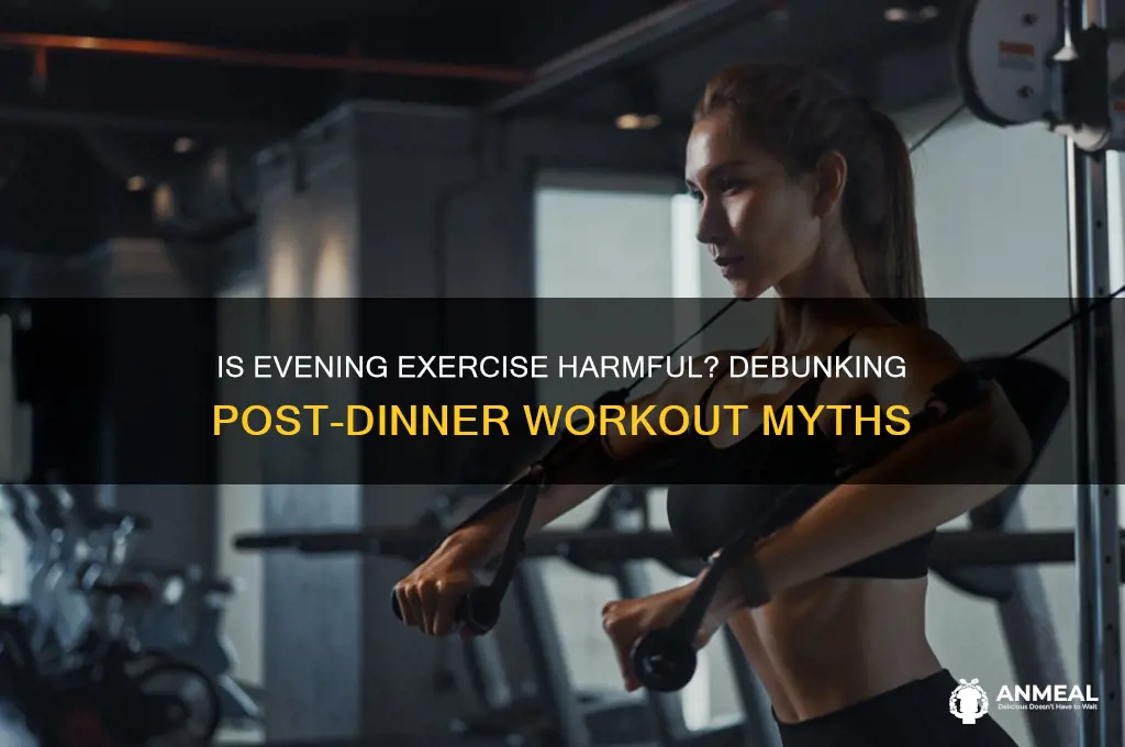 is working out after dinner bad