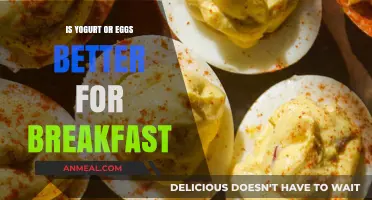 Yogurt vs. Eggs: Which Breakfast Choice Boosts Your Morning Best?