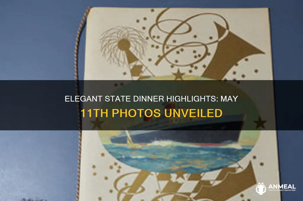 may 11th state dinner photos
