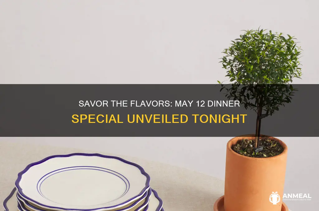 may 12 dinner special