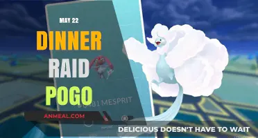 May 22 Dinner Raid Pogo: Tips, Tricks, and Strategies for Success