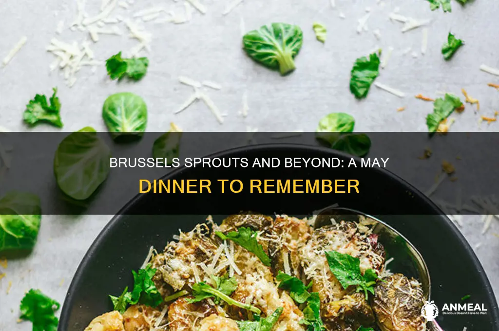 may brussels dinner