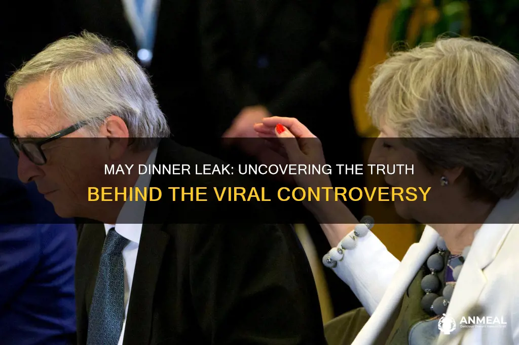 may dinner leak