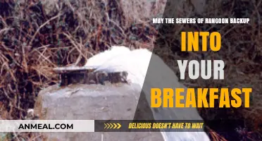 Rangoon's Sewer Crisis: A Breakfast Nightmare You Never Expected
