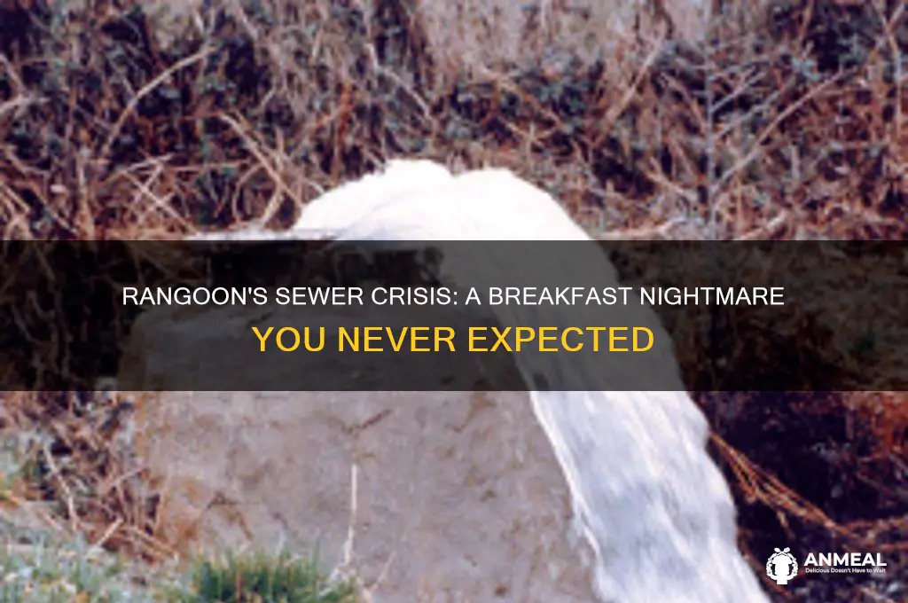 may the sewers of rangoon backup into your breakfast