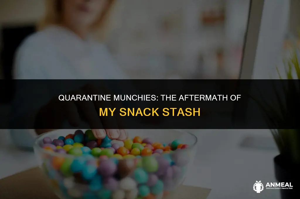 me after eating all my quarantine snacks
