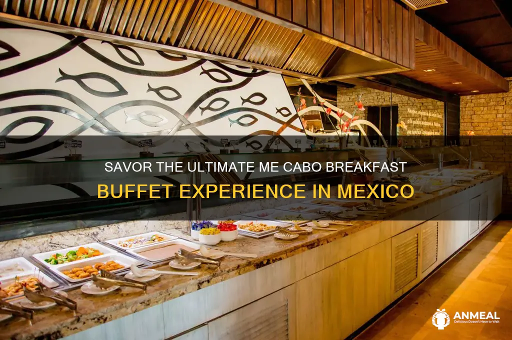 me cabo breakfast buffet