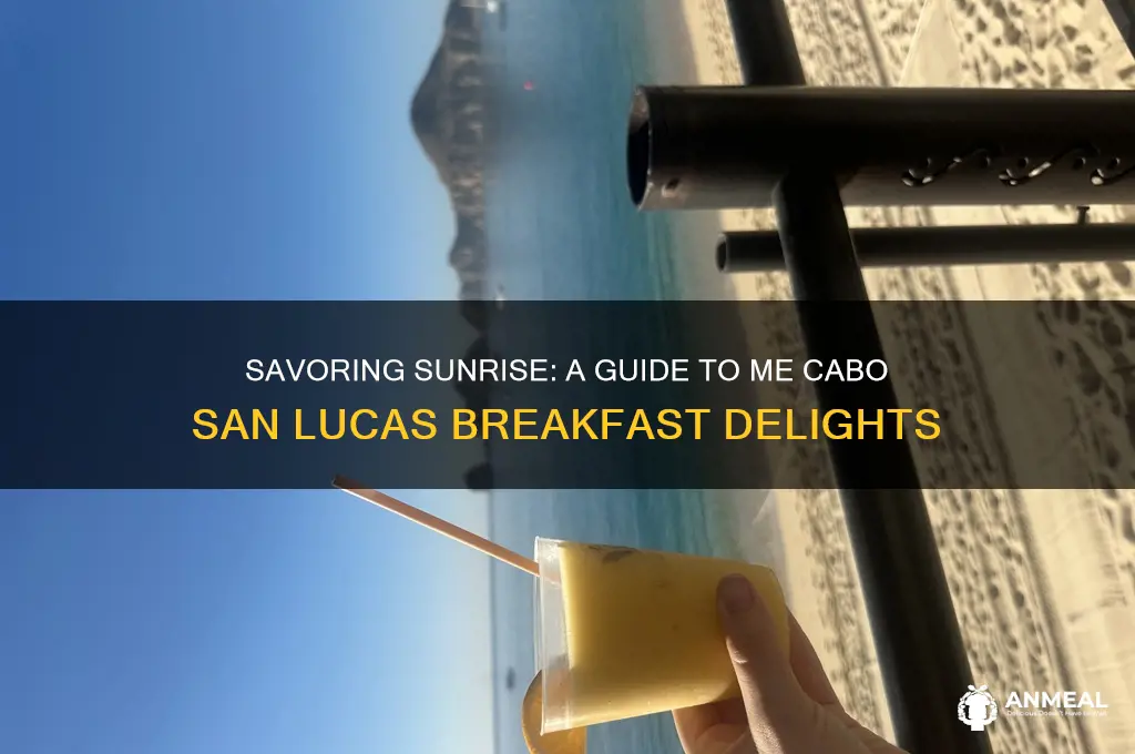 me cabo san lucas breakfast