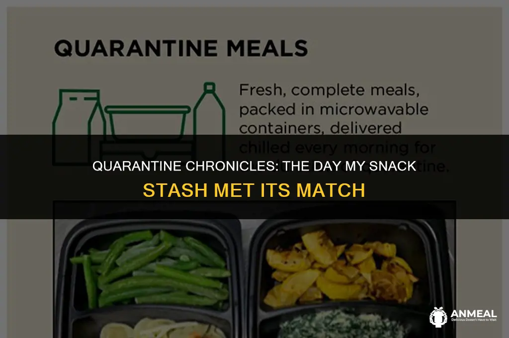 me eating all my quarantine snacks