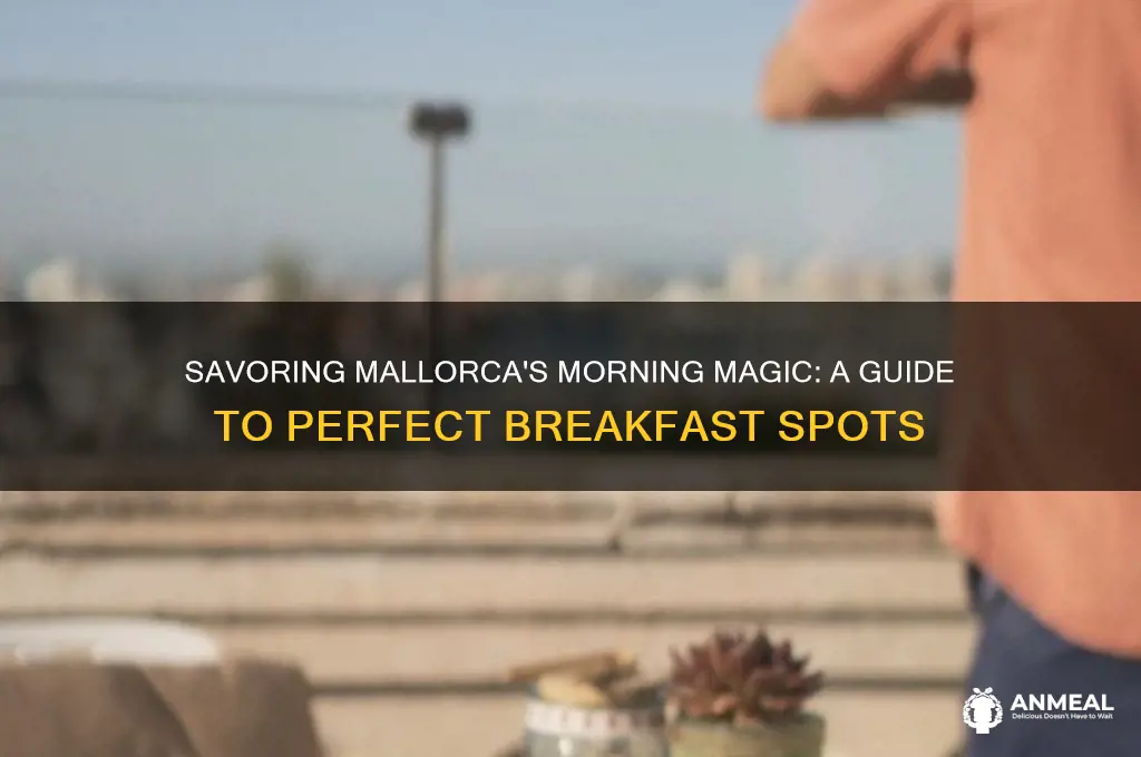 me mallorca breakfast