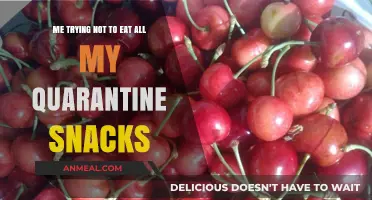 Quarantine Chronicles: The Snack Struggle is Real